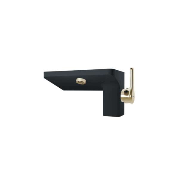 Luxury Basin Faucet-Black and Gold.
